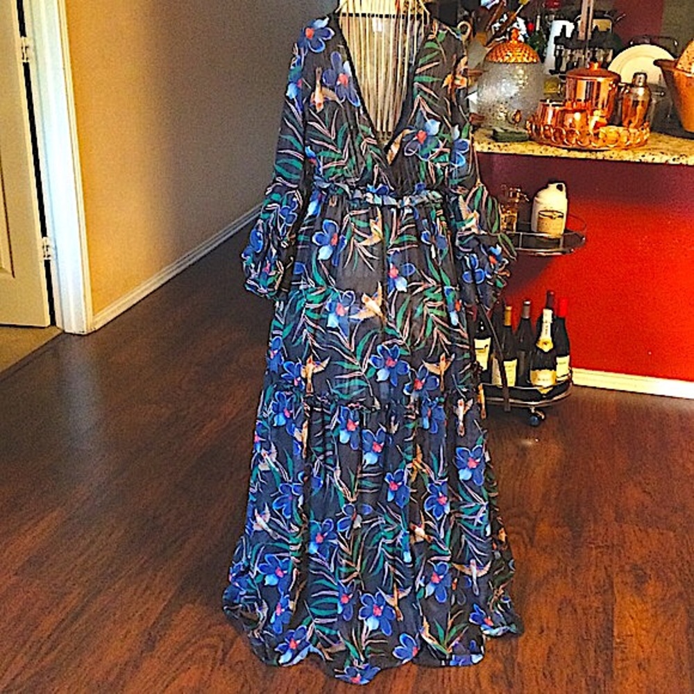 Transparent Maxi Dress 🌺